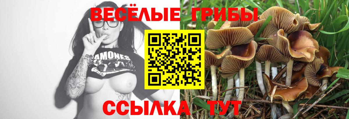 Кыштым  Псилоцибиновые грибы Magic Shrooms  Вход с VPN 